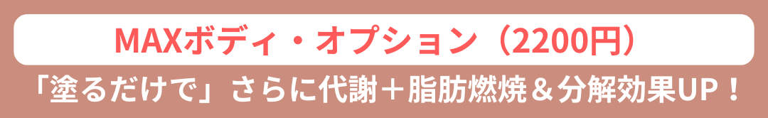 オプションの画像