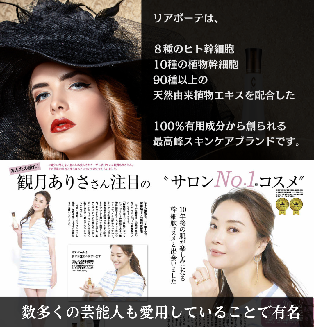 リアボーテの特徴を解説した画像