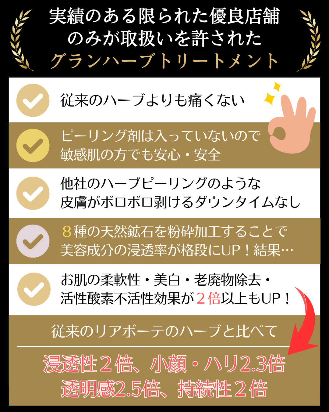 グランハーブトリートメントの概要２