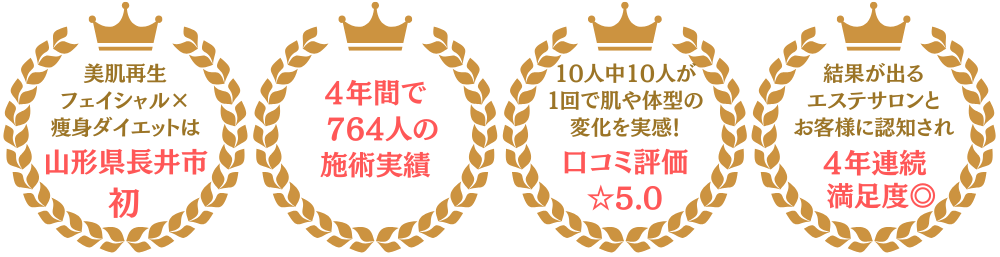 実績の画像