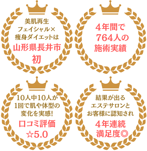 実績の画像