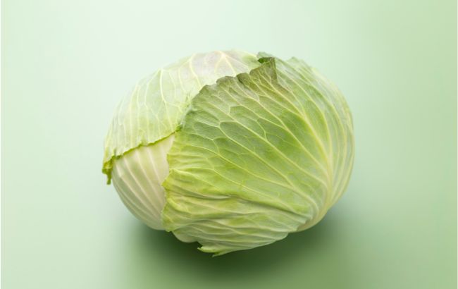 キャベツの画像