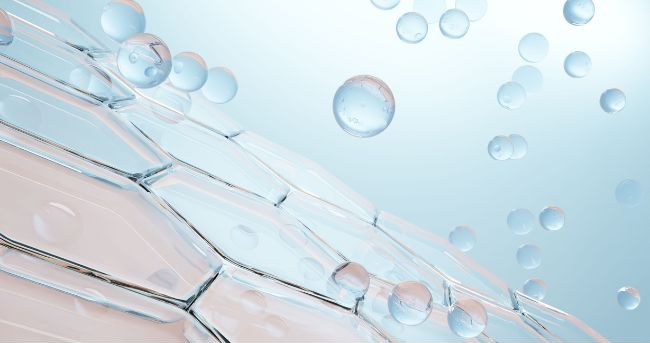 真皮を表したイメージ画像