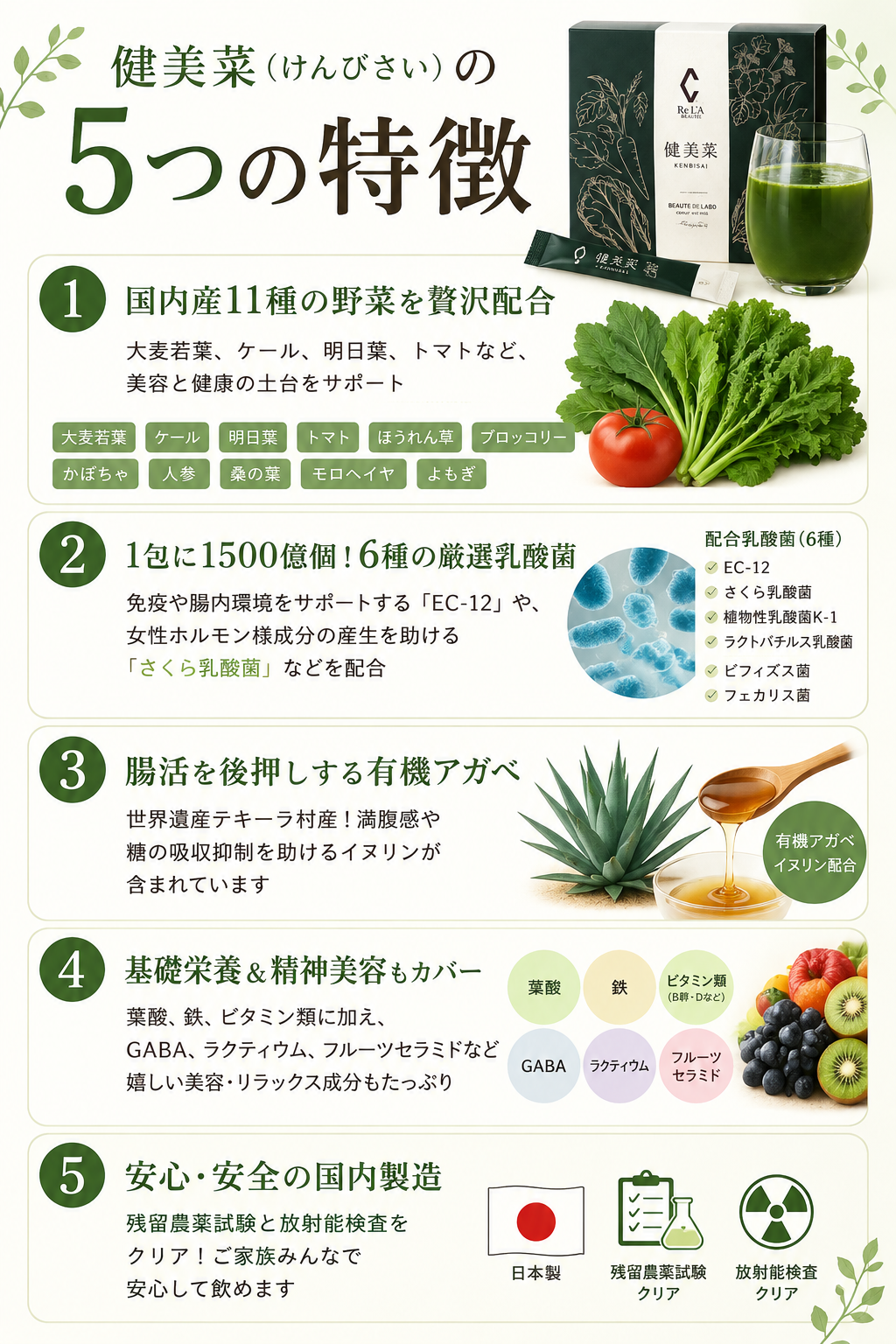健美菜（けんびさい）の特徴をまとめた画像