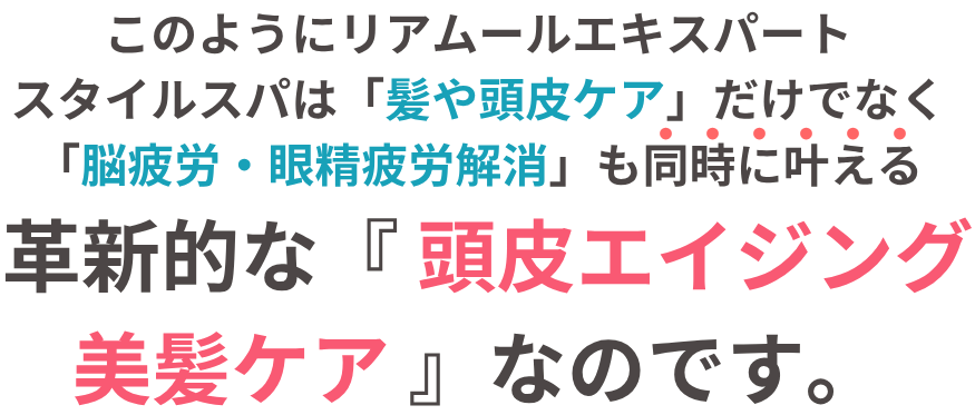 テキスト画像(このようにリアムールエキスパートスタイルスパは、髪・頭皮ケアと脳疲労解消を同時に叶える、革新的なスパメニューなのです。)