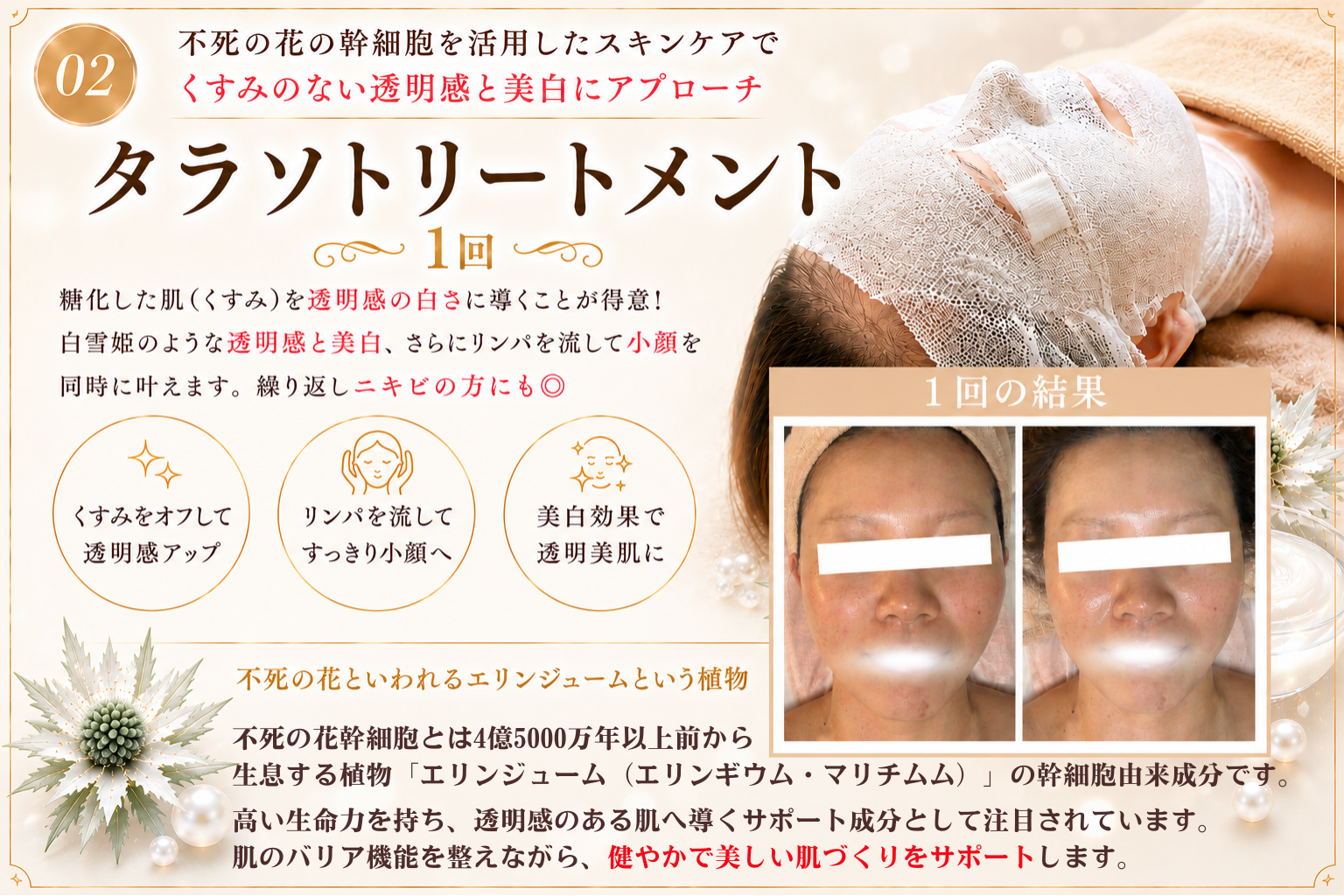 PC用画像(②不死の花の幹細胞を使用!くすみのない透明感と美白にアプローチ!タラソトリートメント)