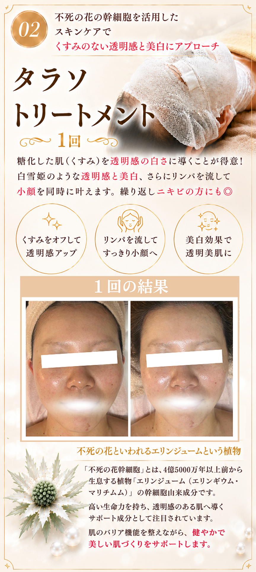 スマホ用画像(②不死の花の幹細胞を使用!くすみのない透明感と美白にアプローチ!タラソトリートメント)