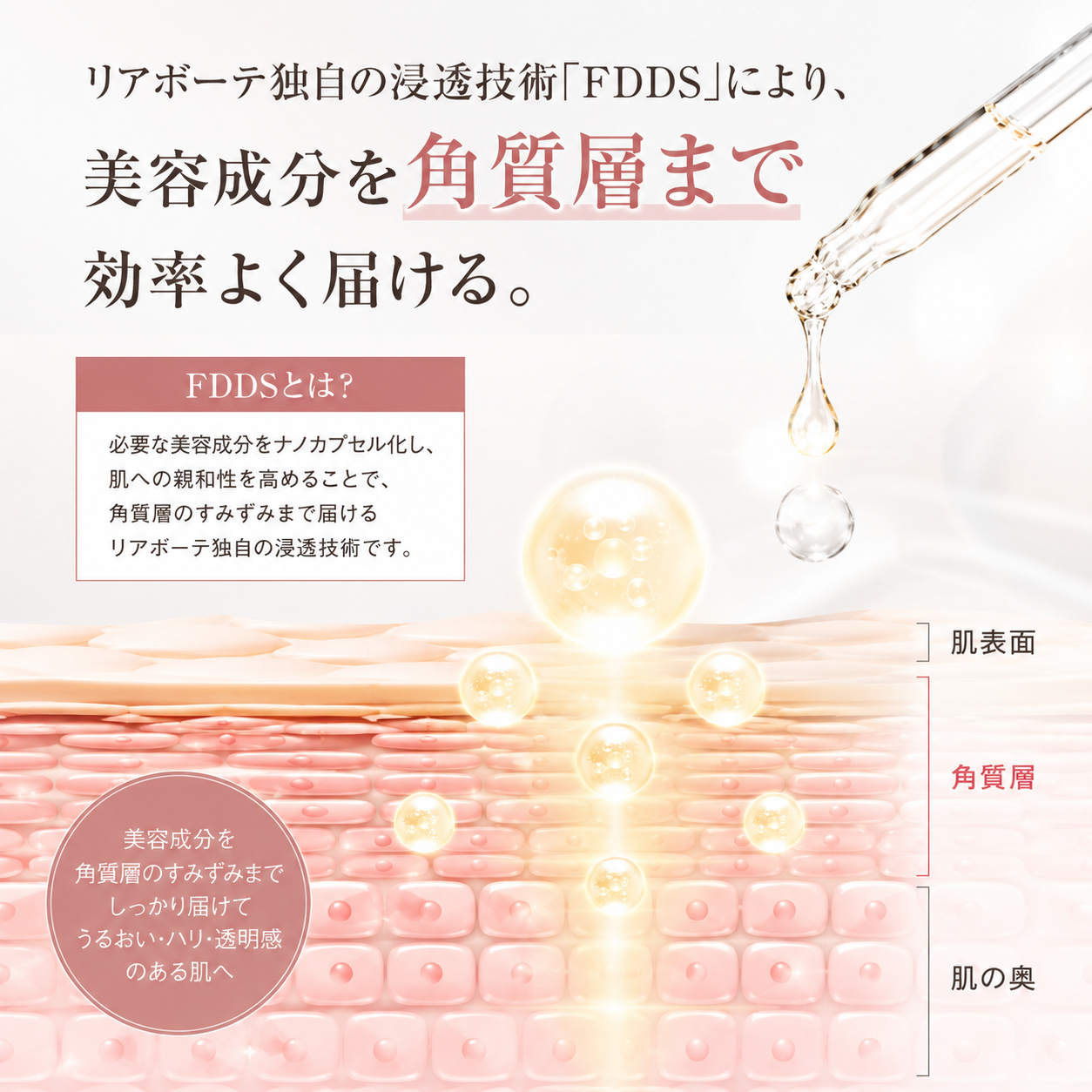 独自浸透技術「FDDS」の画像