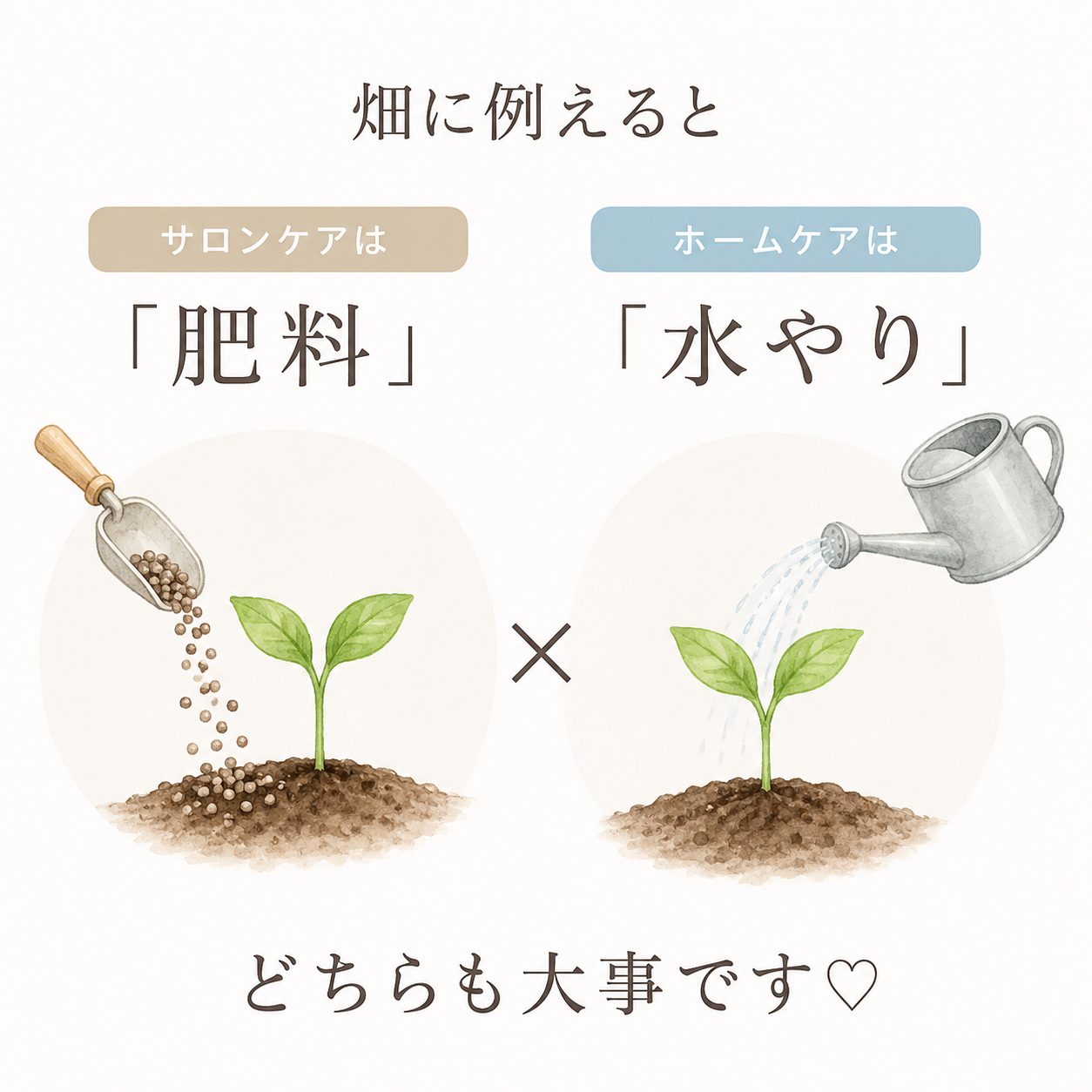 ・サロンケアは「肥料」・ホームケアは「水やり」のイメージ画像